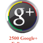 2500 Google+ Followers