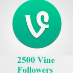 2500 Vine Followers