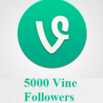 5000 Vine Followers