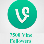 7500 Vine Followers